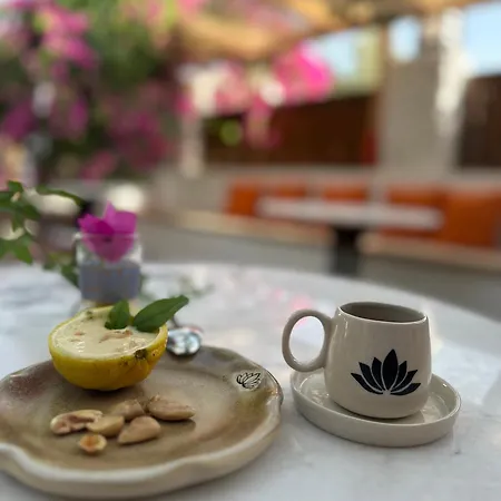 לינה וארוחת בוקר Mavi Lotus דטקה