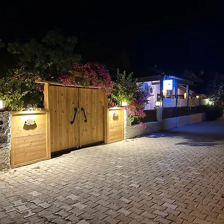 Mavi Lotus * דטקה