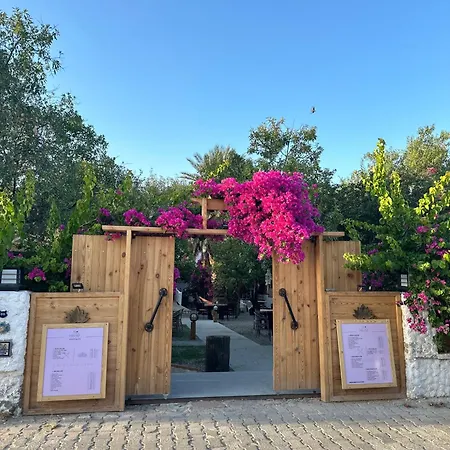 Bed & Breakfast Mavi Lotus