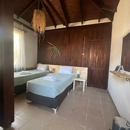 Mavi Lotus Bed & Breakfast 3*