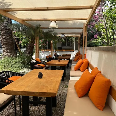 Mavi Lotus Bed & Breakfast