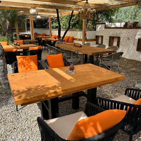 Bed & Breakfast Mavi Lotus 3*