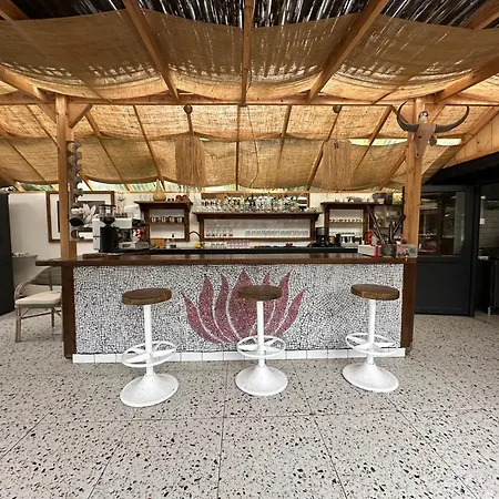 Mavi Lotus לינה וארוחת בוקר 3*