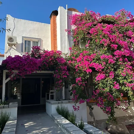 Mavi Lotus Yaka (Mugla)