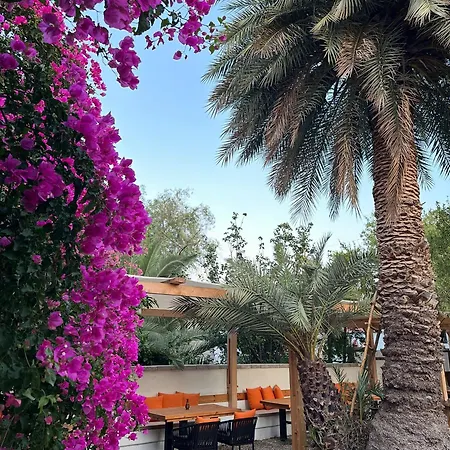 Mavi Lotus Bed & Breakfast Yaka (Mugla)