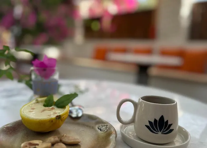 B&B Mavi Lotus Yaka (Mugla)