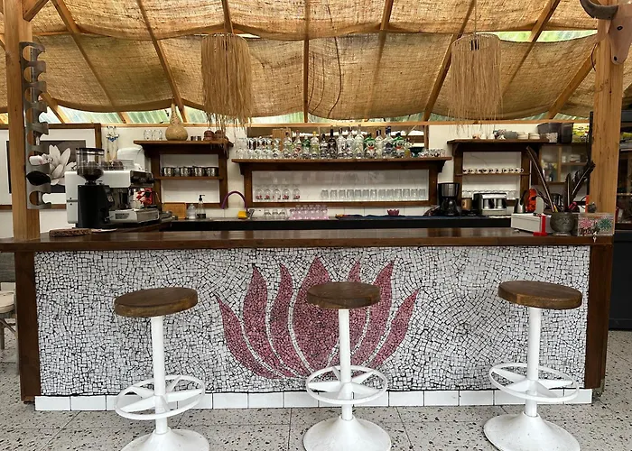 Mavi Lotus 住宿加早餐酒店 3*