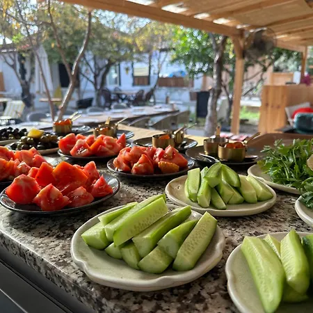 Mavi Lotus B&B