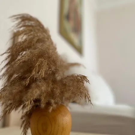 Bed & Breakfast Mavi Lotus *