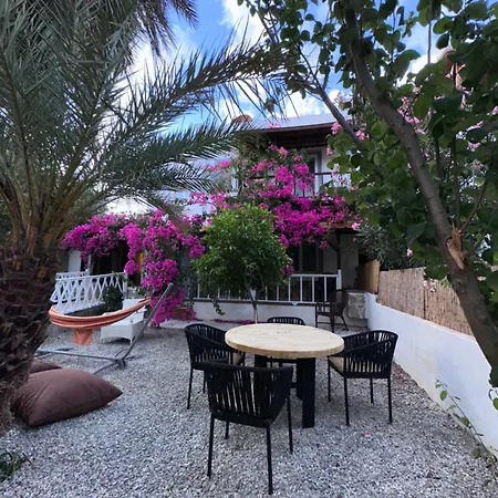 B&B Mavi Lotus 3*
