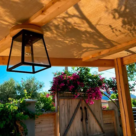 Mavi Lotus Yaka (Mugla)