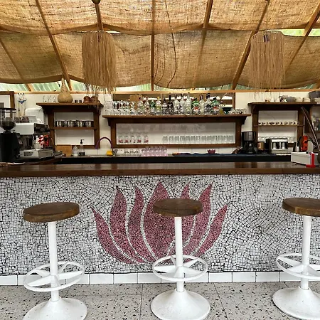 Mavi Lotus Bed & Breakfast *