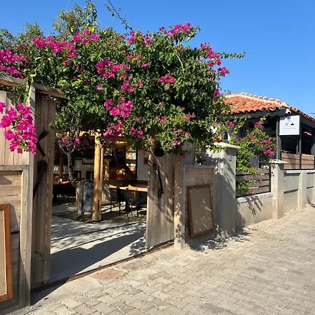 Mavi Lotus Bed & Breakfast *