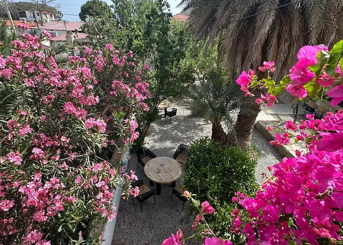 Bed & Breakfast Mavi Lotus