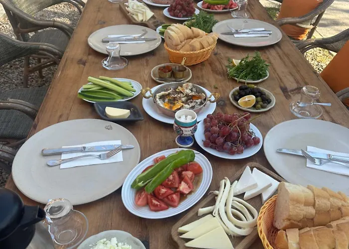 Bed & Breakfast Mavi Lotus