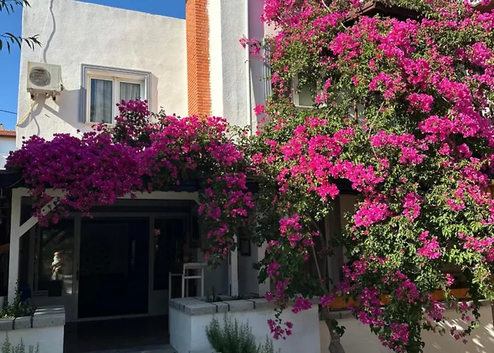 Mavi Lotus Yaka (Mugla)